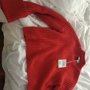 NWT Everlane 100% Cotton sweater